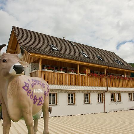 Conny'S B&B Niederweningen Екстериор снимка
