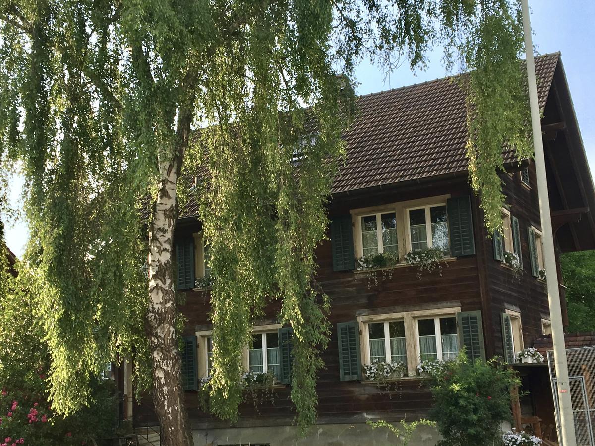 Conny'S B&B Niederweningen Екстериор снимка