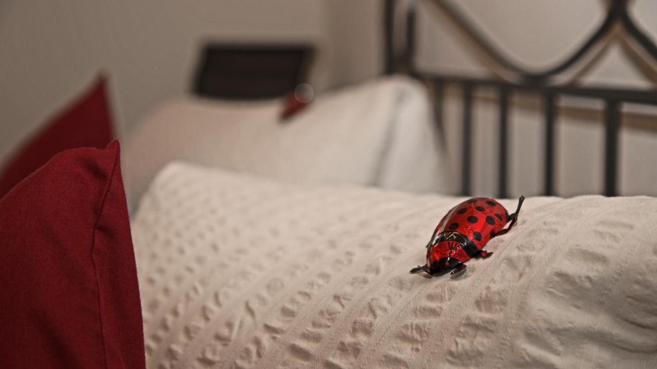 Conny'S B&B Niederweningen Екстериор снимка